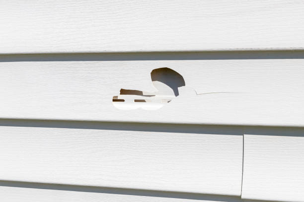 Best Shed Removal  in Waikapu, HI