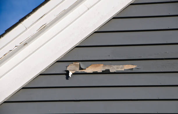 Best Hoarding Cleanup  in Waikapu, HI